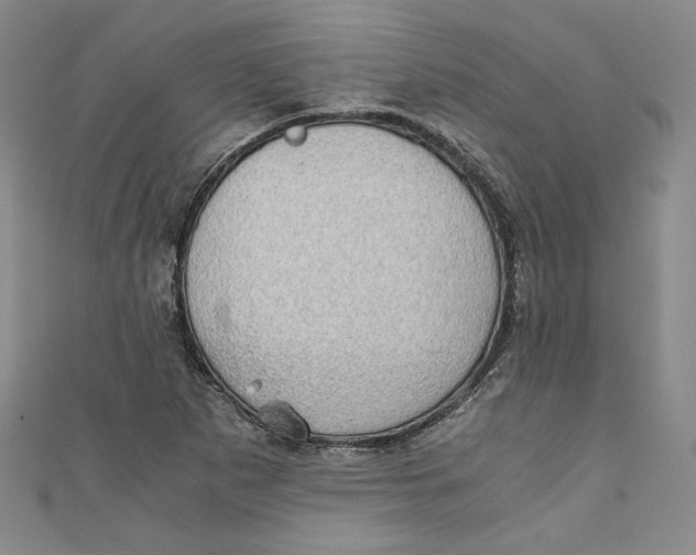 X0000110891265200907091346