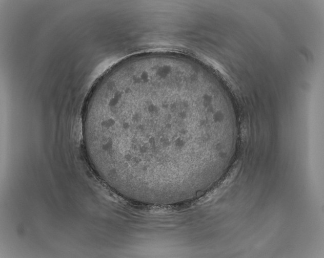 X0000110891267200907091346