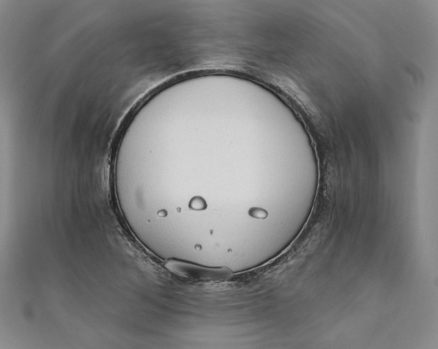 X0000110891268200907091346