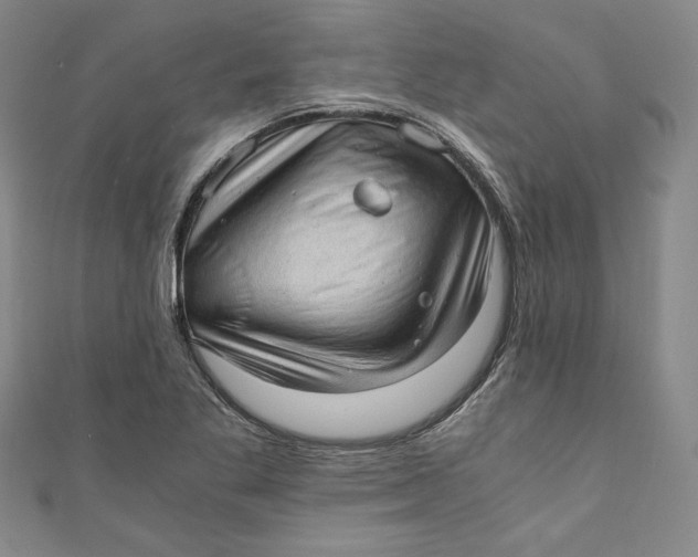 X0000110891269200907091346