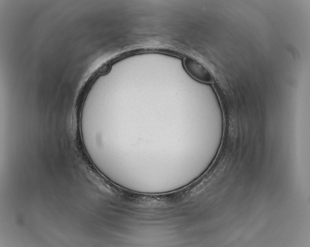 X0000110891270200907091346