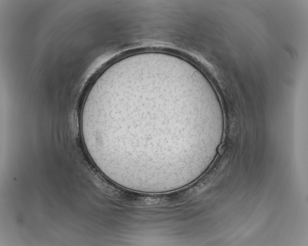 X0000110891271200907091346