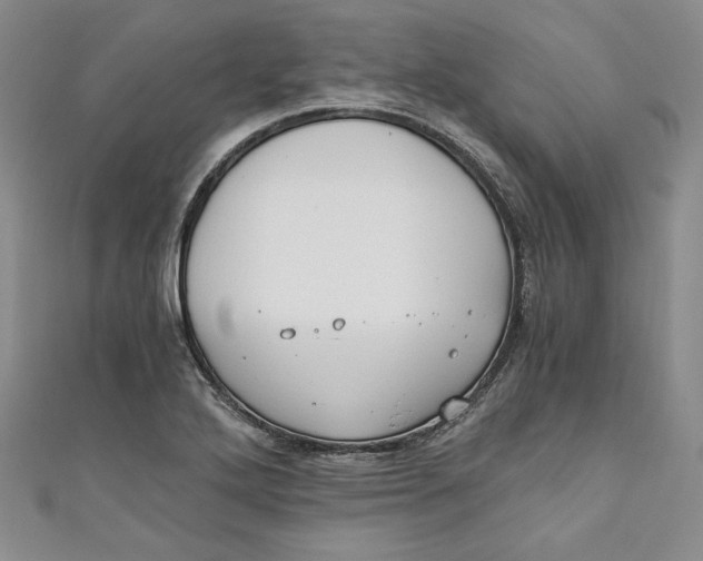 X0000110891272200907091346