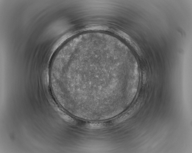 X0000110891274200907091346