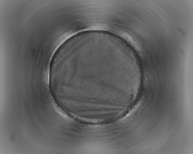 X0000110891276200907091346