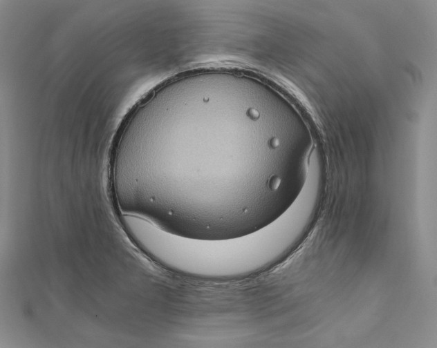 X0000110891277200907091346