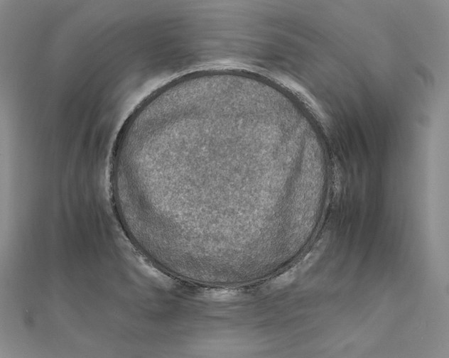 X0000110891278200907091346