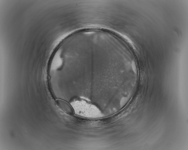 X0000110891279200907091346