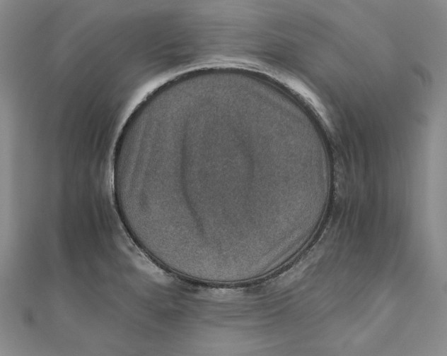 X0000110891280200907091346