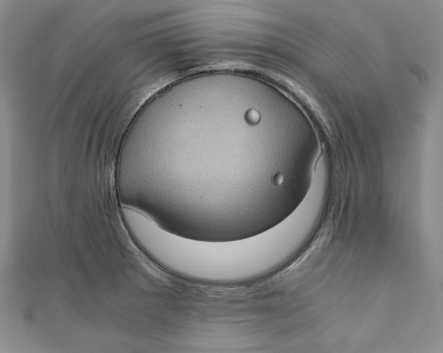 X0000110891281200907091346