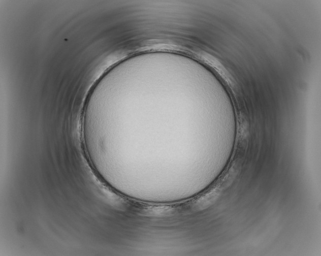 X0000110891282200907091346