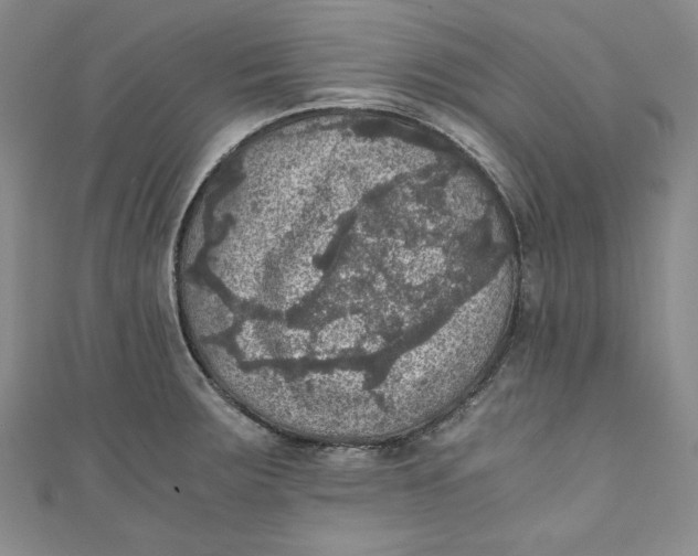 X0000110891283200907091346