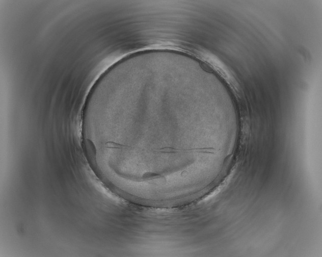 X0000110891284200907091346