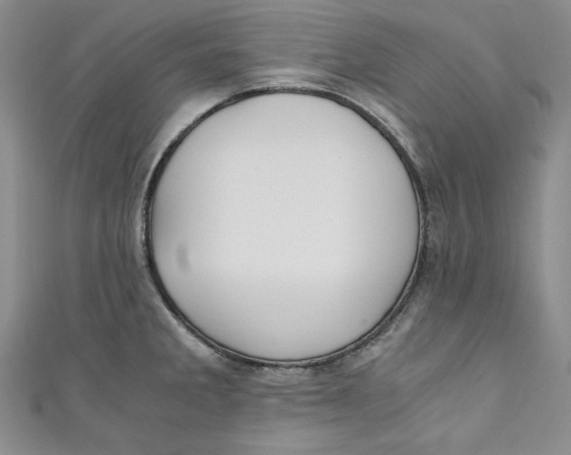 X0000110891285200907091346