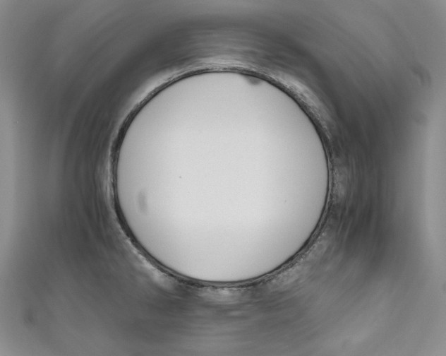 X0000110891286200907091346