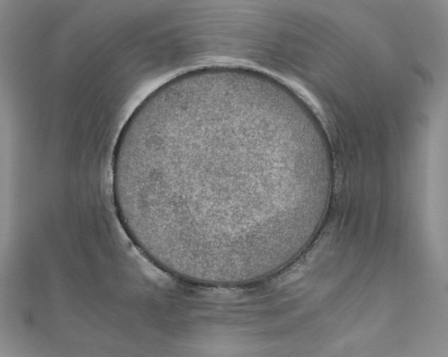 X0000110891287200907091346