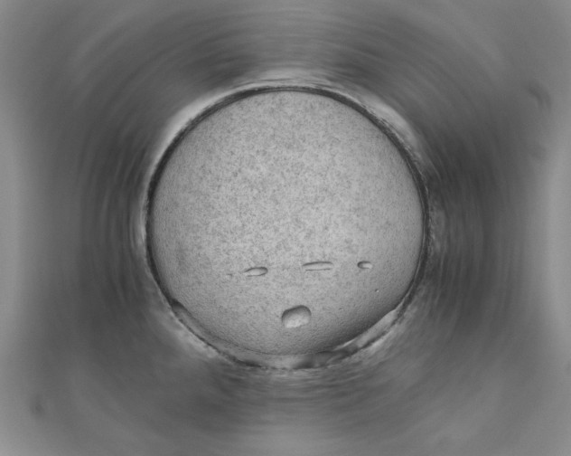 X0000110891288200907091346