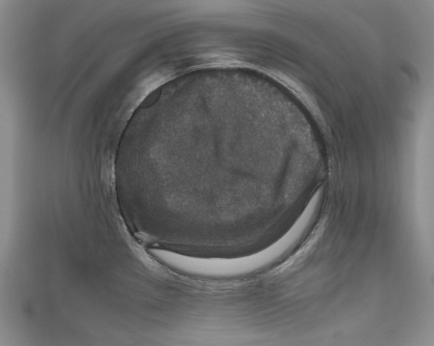 X0000110891289200907091346