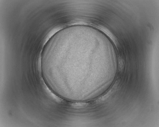 X0000110891290200907091346