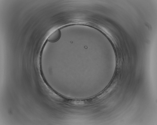 X0000110891291200907091346