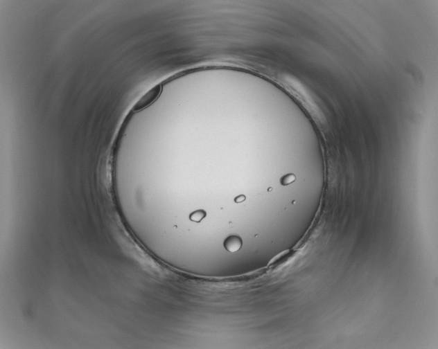 X0000110891292200907091346