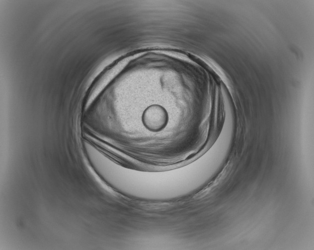 X0000110891293200907091346