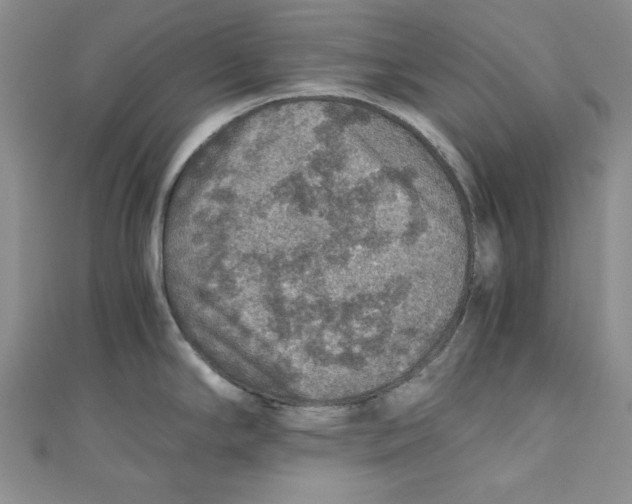 X0000110891294200907091346