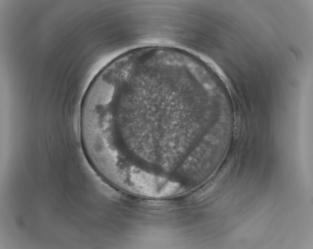 X0000110891295200907091346