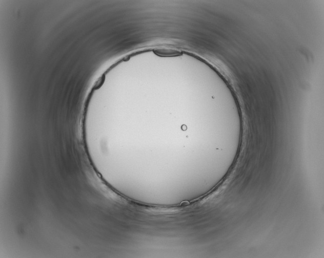 X0000110891296200907091346