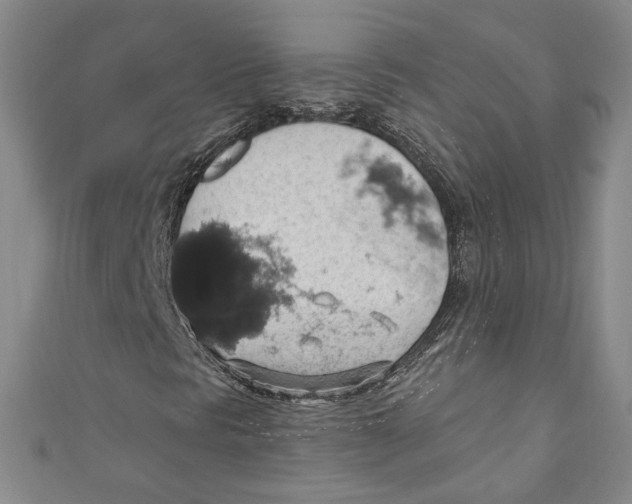 X0000110891297200907091345