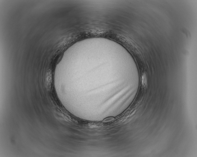 X0000110891299200907091345