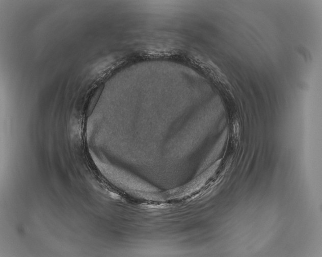 X0000110891300200907091345