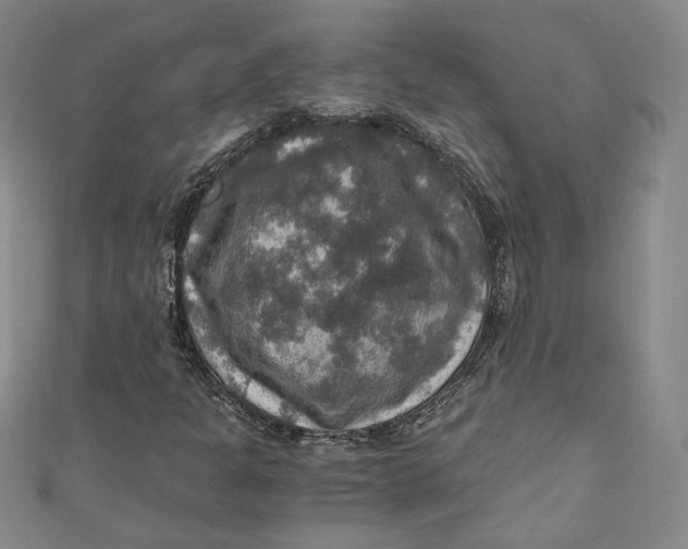 X0000110891301200907091345