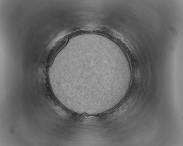 X0000110891304200907091345