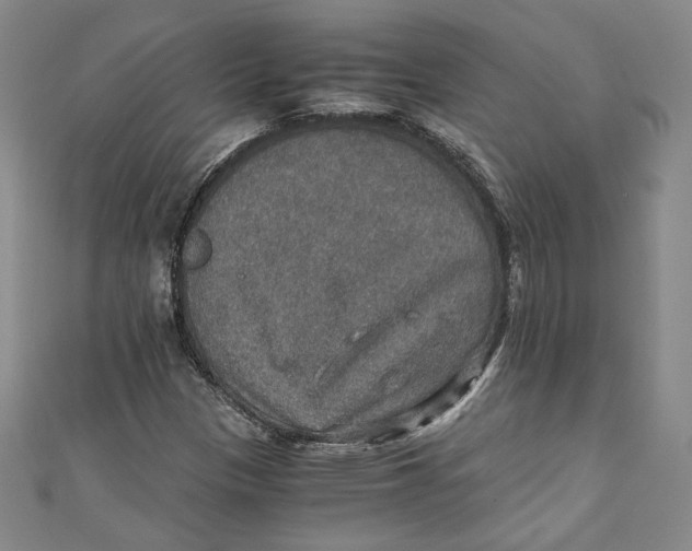 X0000110891305200907091345