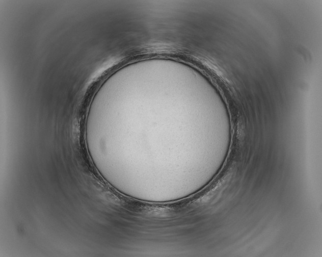 X0000110891309200907091346