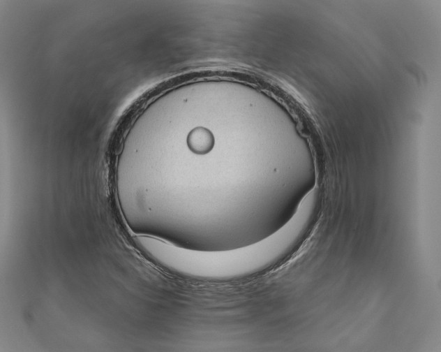 X0000110891310200907091346