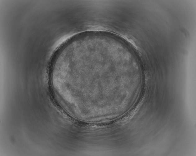 X0000110891311200907091346