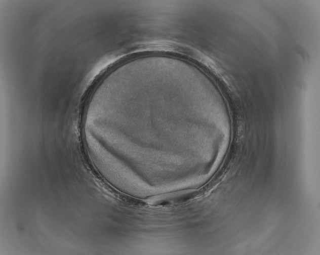 X0000110891312200907091346