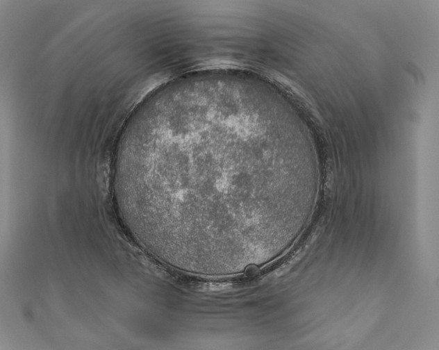 X0000110891313200907091346