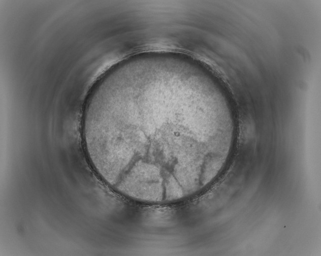 X0000110891314200907091346