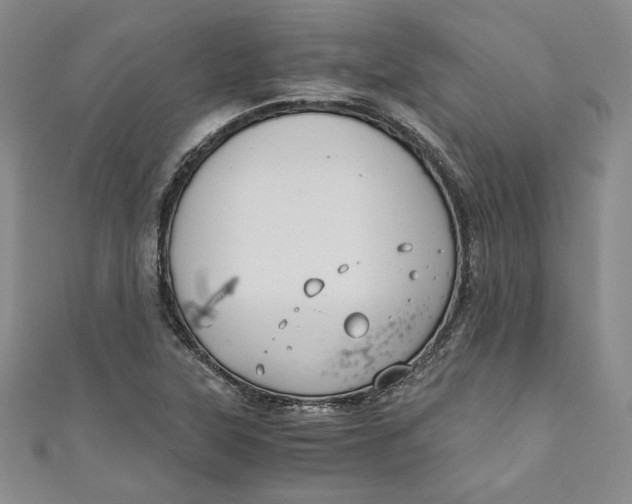 X0000110891315200907091346