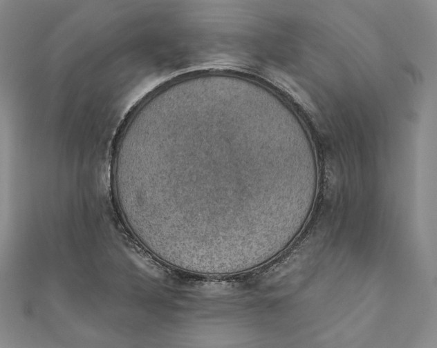 X0000110891316200907091346