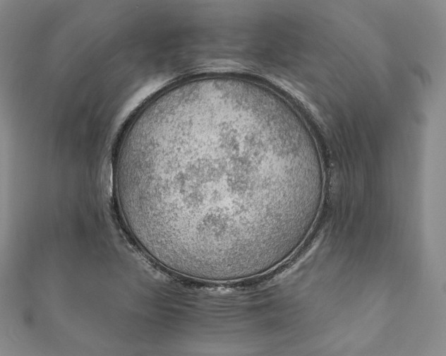 X0000110891317200907091346