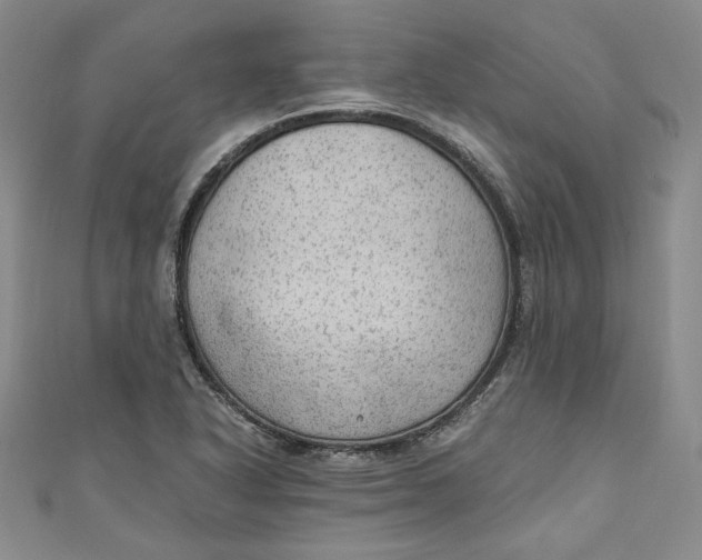 X0000110891318200907091346