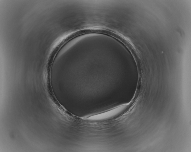 X0000110891319200907091346