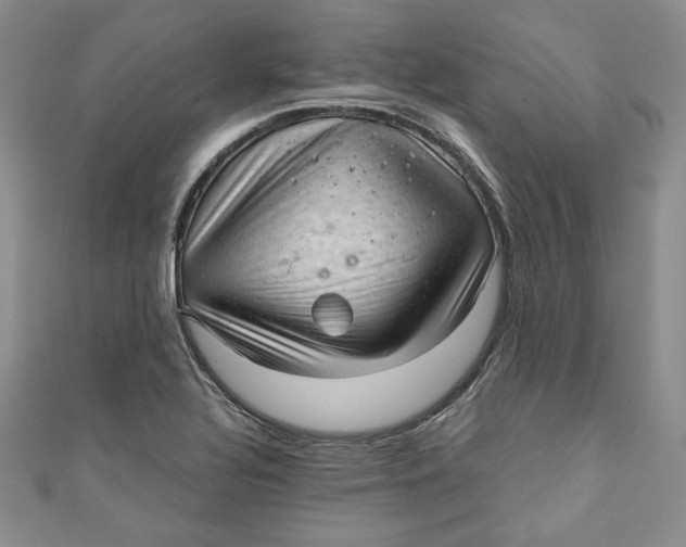 X0000110891320200907091346