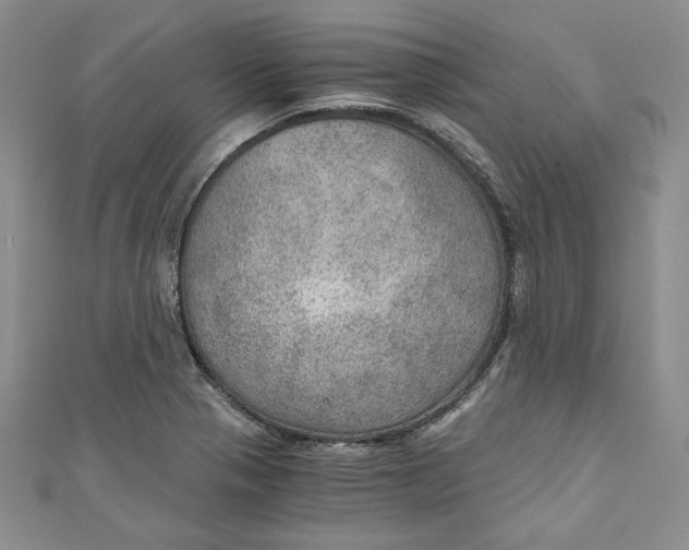 X0000110891321200907091346