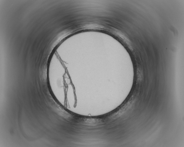 X0000110891322200907091346