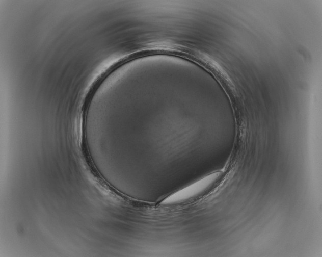 X0000110891323200907091346